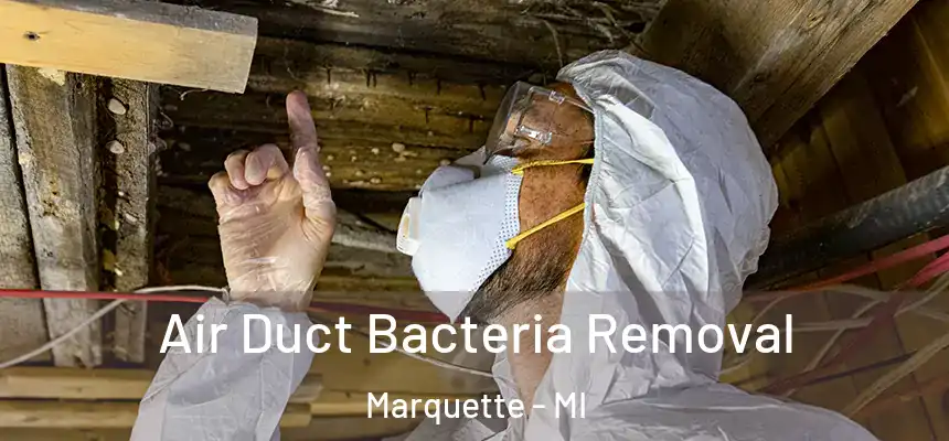  Air Duct Bacteria Removal Marquette - MI