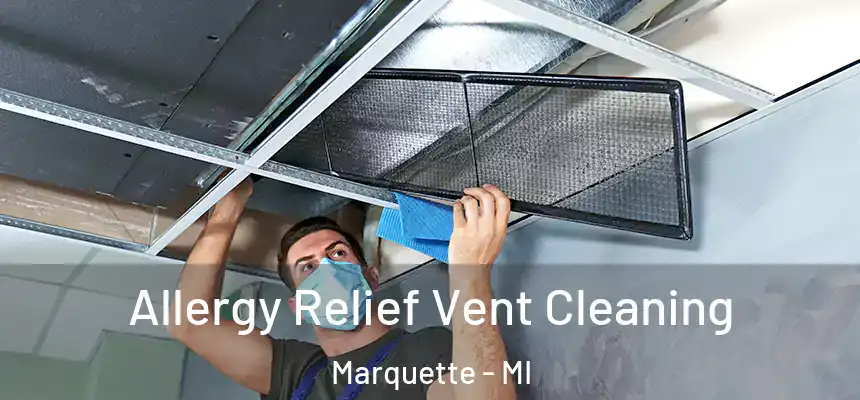  Allergy Relief Vent Cleaning Marquette - MI
