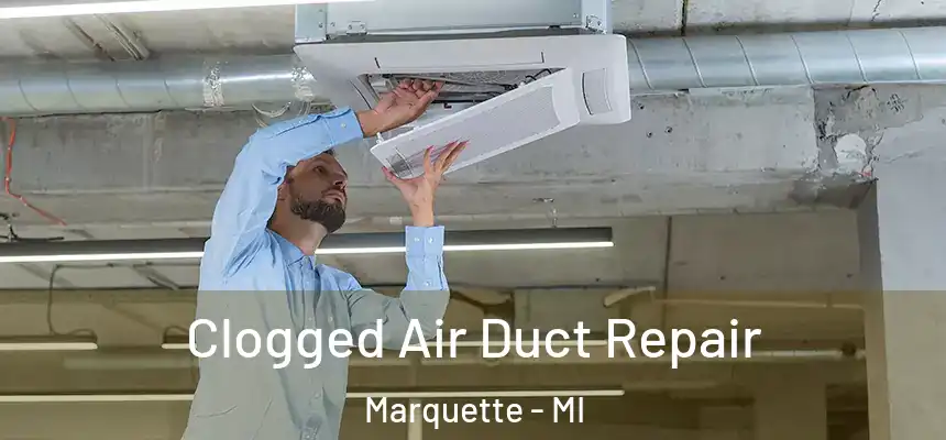  Clogged Air Duct Repair Marquette - MI