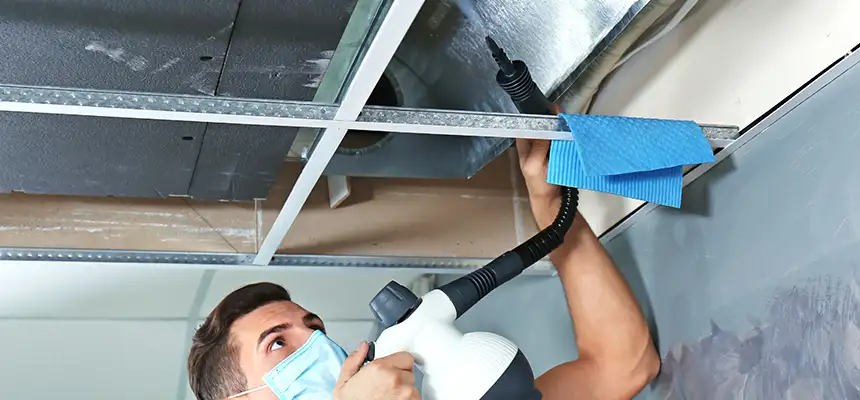 Our Air Duct Rodent Removal Services in Marquette, MI