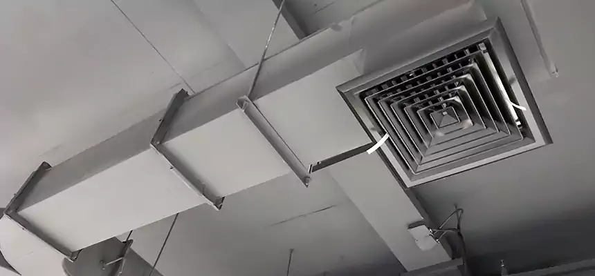 Restorative Allergy Relief Vent Cleaning – Coil, Blower & Housing Detail in Marquette