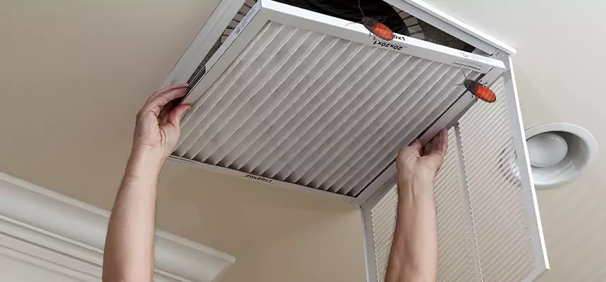 Our Insect Removal from Air Ducts Services in Marquette, MI