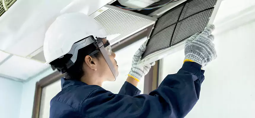 Our Mold & Mildew Removal from Air Ducts Services in Marquette, MI