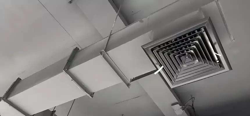 Our Rodent Droppings In Vents Services in Marquette, MI