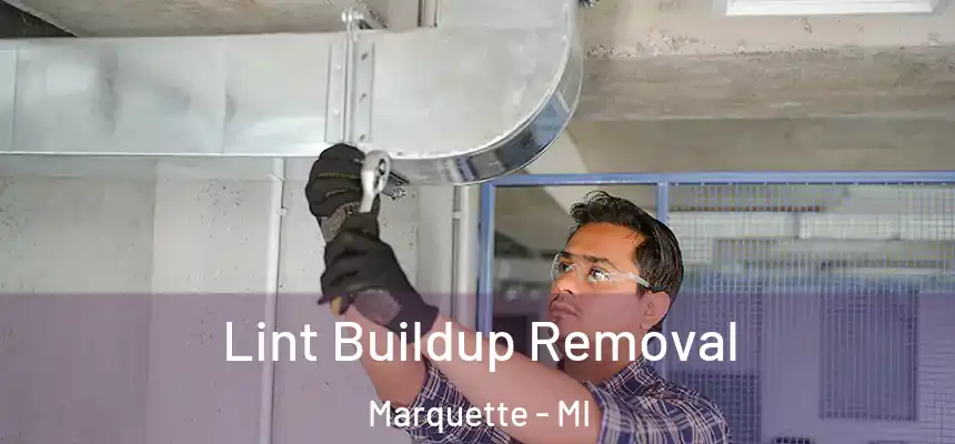  Lint Buildup Removal Marquette - MI