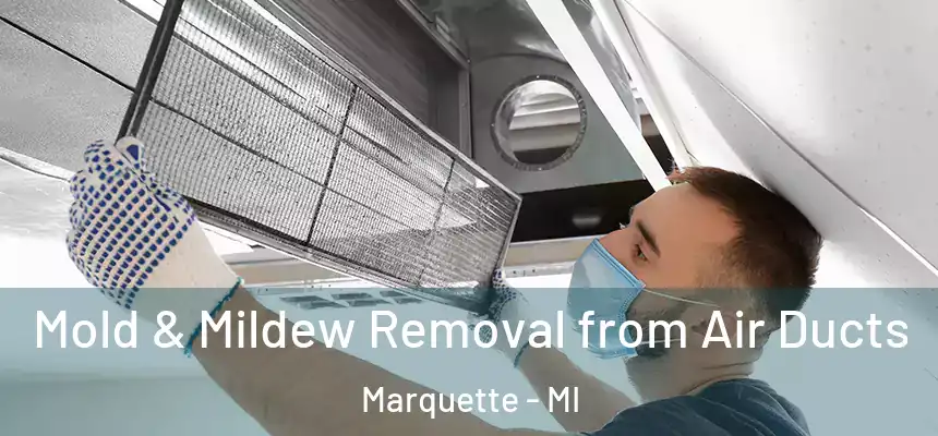 Mold & Mildew Removal from Air Ducts Marquette - MI