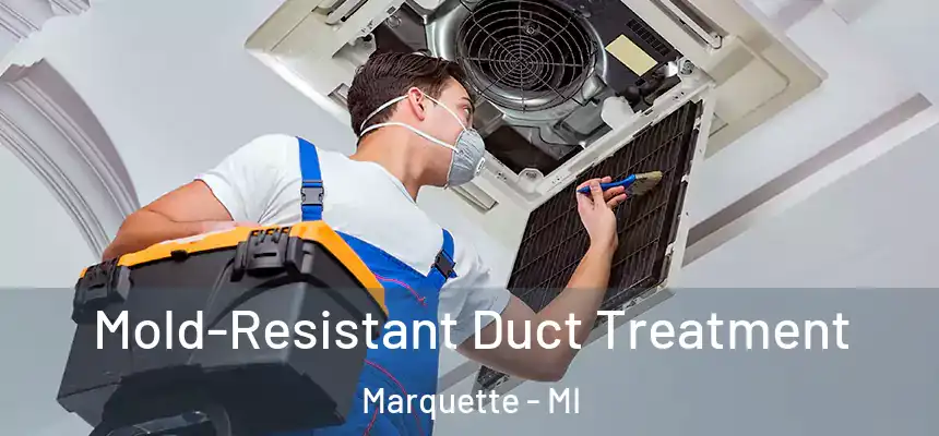 Mold-Resistant Duct Treatment Marquette - MI