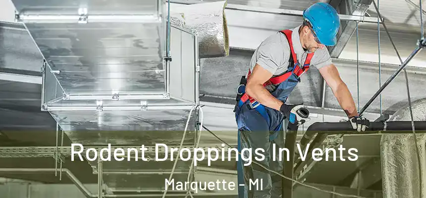  Rodent Droppings In Vents Marquette - MI