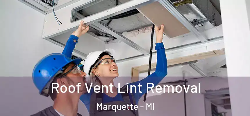 Roof Vent Lint Removal Marquette - MI