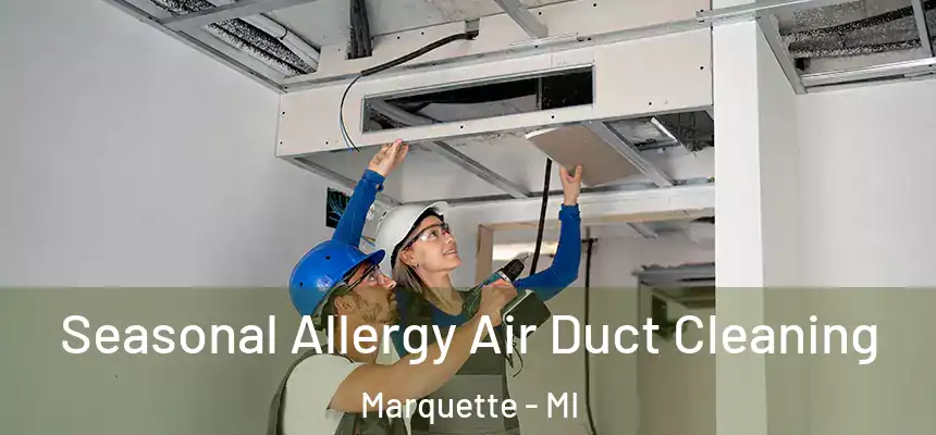 Seasonal Allergy Air Duct Cleaning Marquette - MI