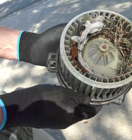 About Air Duct Rat Removal in Marquette, MI