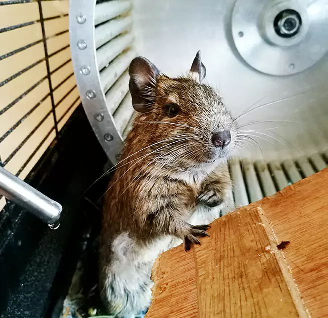 Why Homeowners & Businesses Trust Us Marquette, MI